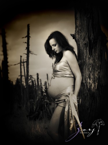Destination Maternity: Alaskan, Russian, Tough, Pregnant. By Zorz Studios. (44)