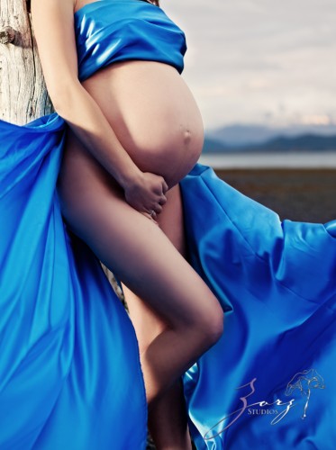 Destination Maternity: Alaskan, Russian, Tough, Pregnant. By Zorz Studios. (52)