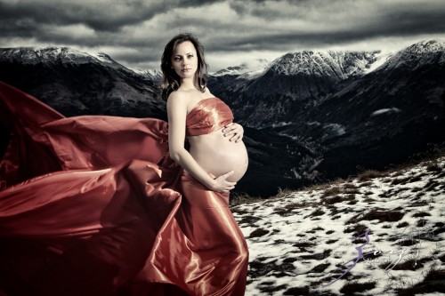 Destination Maternity: Alaskan, Russian, Tough, Pregnant. By Zorz Studios. (66)