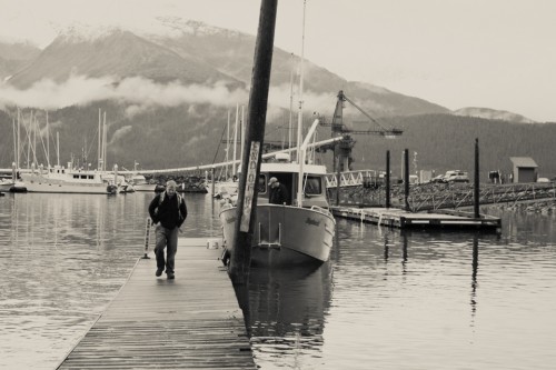 Destination Maternity: Alaskan, Russian, Tough, Pregnant. By Zorz Studios. (4)