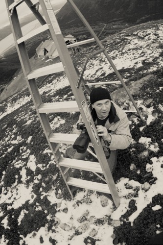 Destination Maternity: Alaskan, Russian, Tough, Pregnant. By Zorz Studios. (42)