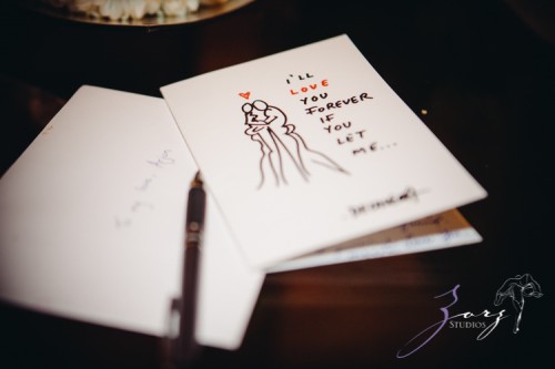 Meera and Arjun: Wedding Odyssey, Part 2, India | Destination Wedding Photography by Zorz Studios | Zorz Studios