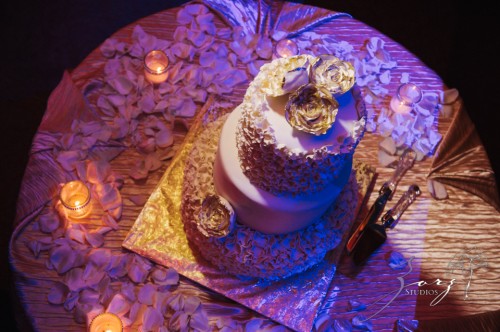 Wind Tunnel: Vlada + Alex = Cold NYC Wedding | Zorz Studios