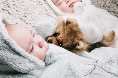 Double Woof: Fun Children Photography | Zorz Studios