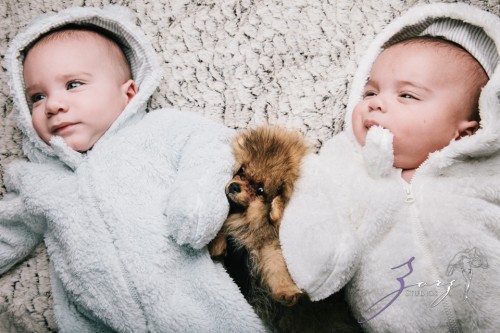 Double Woof: Fun Children Photography | Zorz Studios