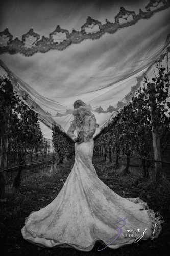 Equestrian Vines: Shannon + Al = Poetic Trash the Dress Session | Zorz Studios