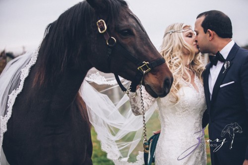 Equestrian Vines: Shannon + Al = Poetic Trash the Dress Session | Zorz Studios