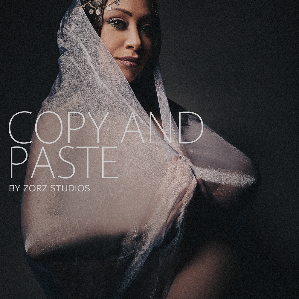 Copy and Paste: Fun Maternity Shoot | Zorz Studios (1)