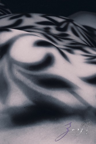 Nude Color: Fine Art Nude | Zorz Studios