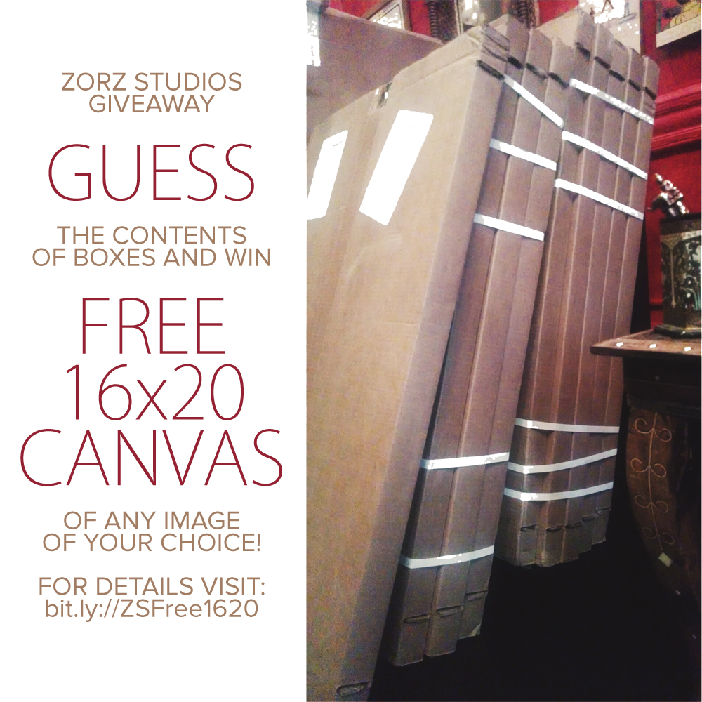 Guess and Win a Free 16x20 Canvas Print