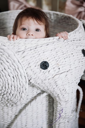 Puppy Jump: Cute Baby Photography | Zorz Studios