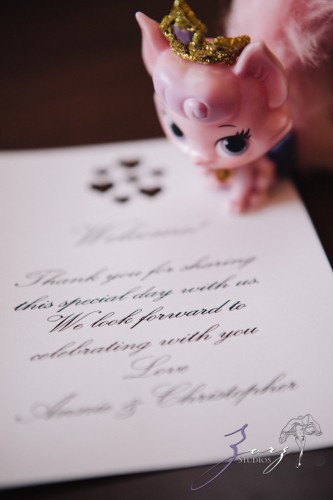 Annie + Chris = Steampunk Wedding | Zorz Studios