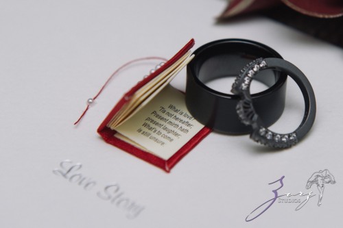 Annie + Chris = Steampunk Wedding | Zorz Studios