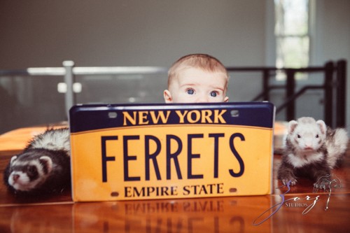 Bohem: Epic Baby Photography | Zorz Studios
