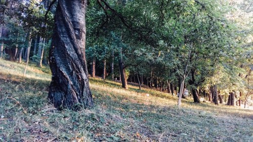 On a Personal Note: Elopement Wedding, Trip to Moldova | Zorz Studios