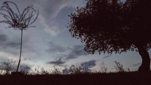 On a Personal Note: Elopement Wedding, Trip to Moldova | Zorz Studios