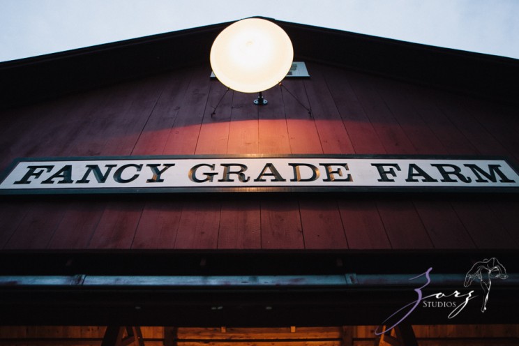 Wolke 9: Jana + David = German-American Rustic Wedding | Zorz Studios