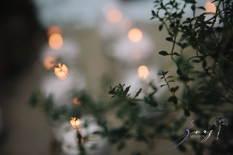 Birth of Venus: Alexandra + Ricardo = Rustic Wedding | Zorz Studios
