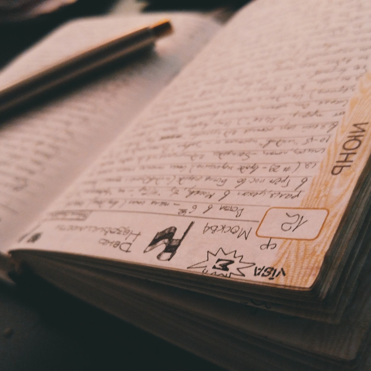 Top 5 Travel Journal Apps Review by Zorz Studios