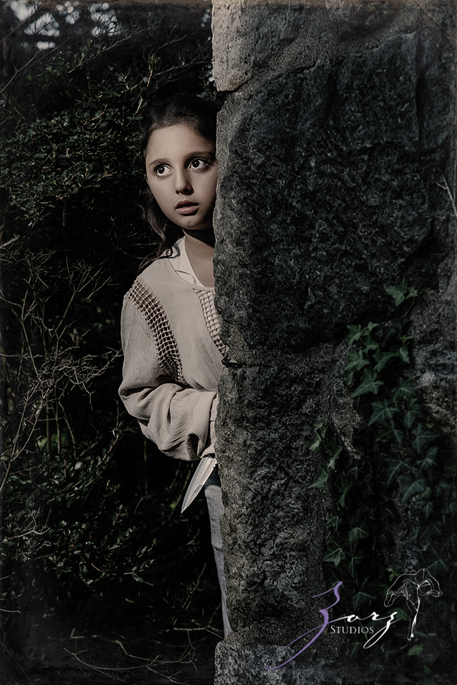 Game of Thrones Inspired Birthday Photoshoot by Zorz Studios (18)