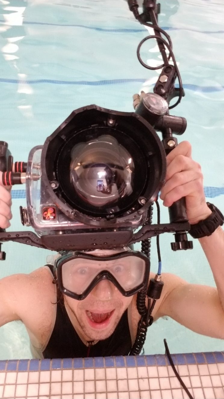 Sonar: Maternity Photos from NYC to the Ocean in One (Long) Day by Zorz Studios (5)
