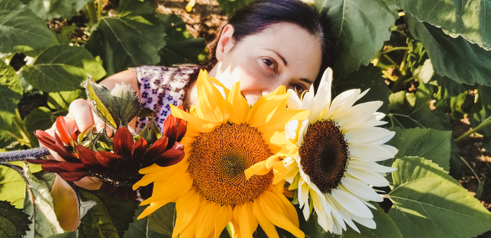 Sunmaze: My Family in Sunflowers by Zorz Studios (8)