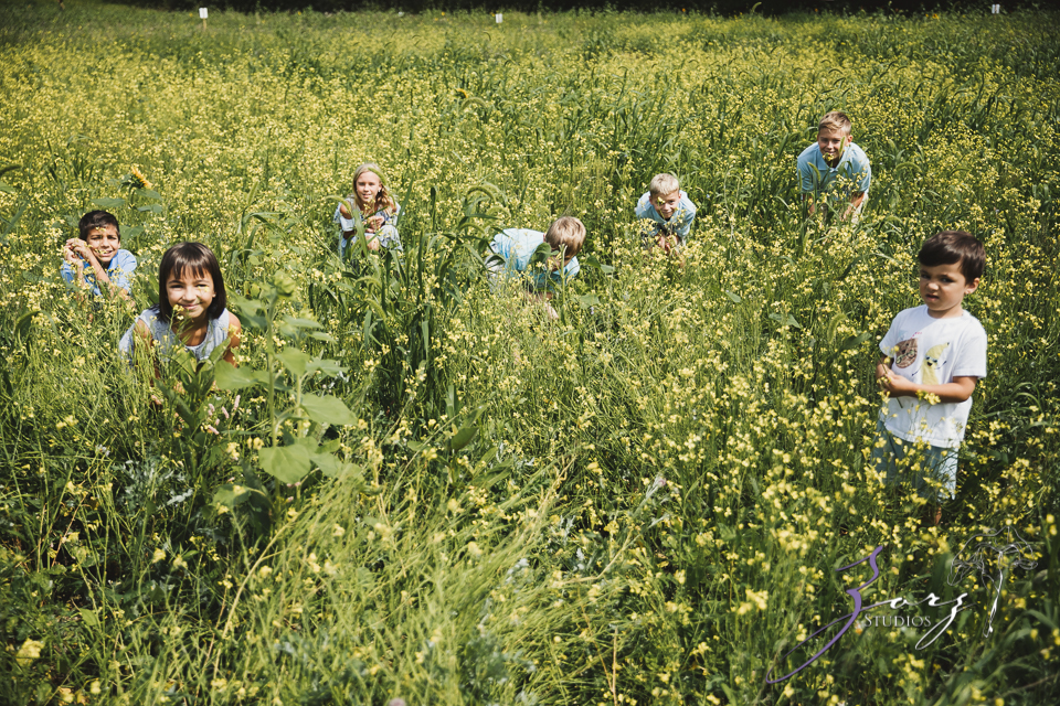 Field Trap: Sunflower Field Photoshoot for Three Families | Zorz Studios