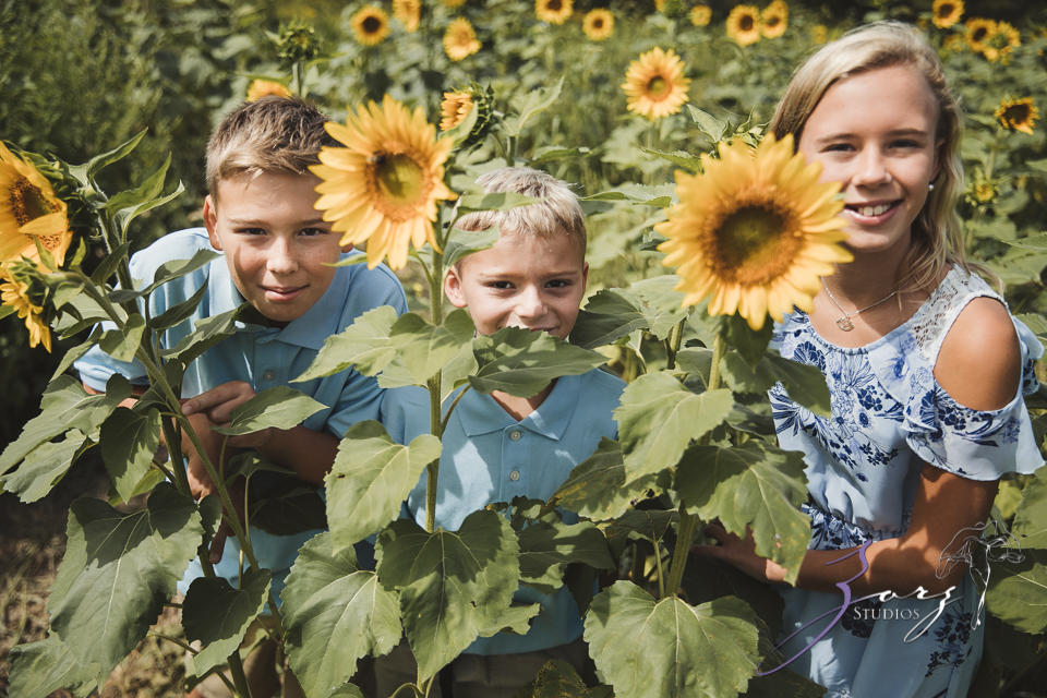 Field Trap: Sunflower Field Photoshoot for Three Families by Zorz Studios (35)