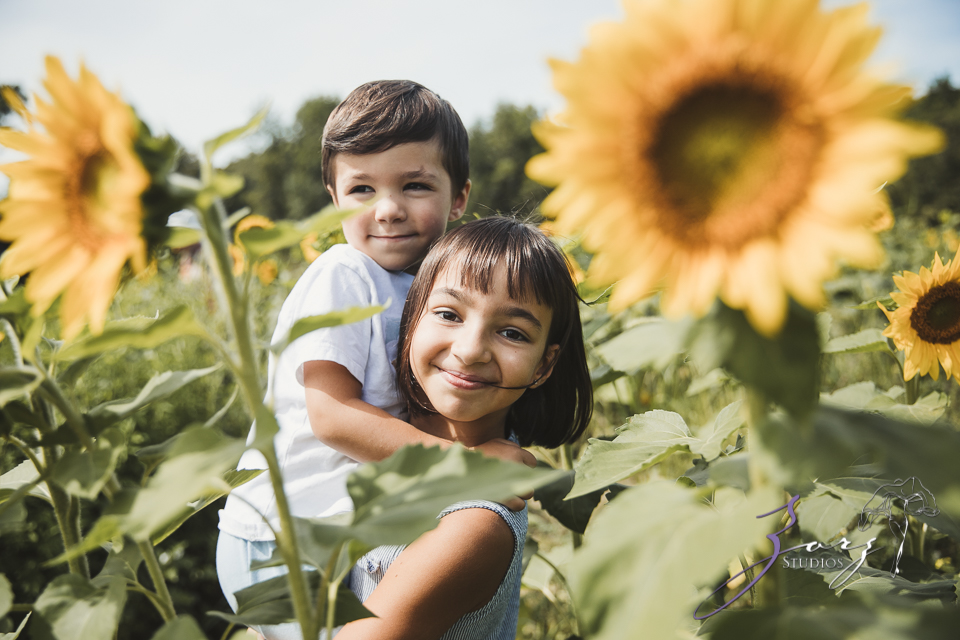 Field Trap: Sunflower Field Photoshoot for Three Families by Zorz Studios (34)