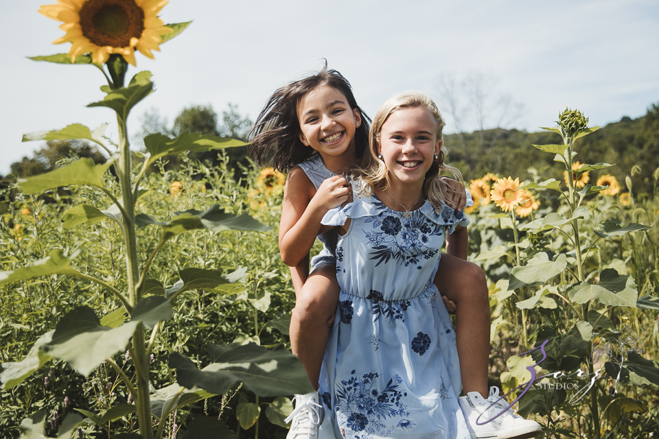 Field Trap: Sunflower Field Photoshoot for Three Families by Zorz Studios (30)