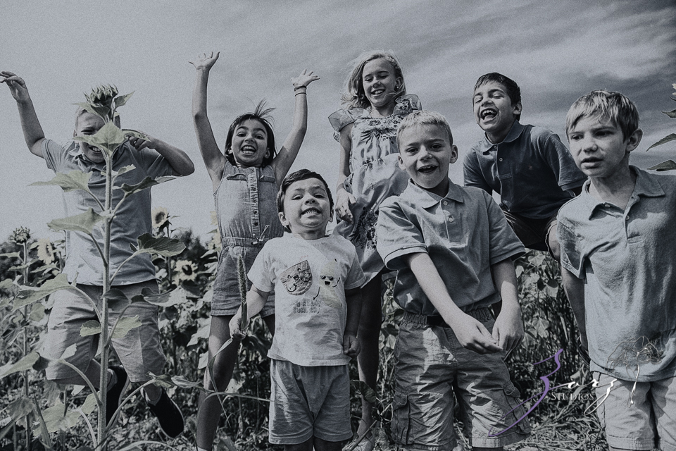 Field Trap: Sunflower Field Photoshoot for Three Families by Zorz Studios (25)