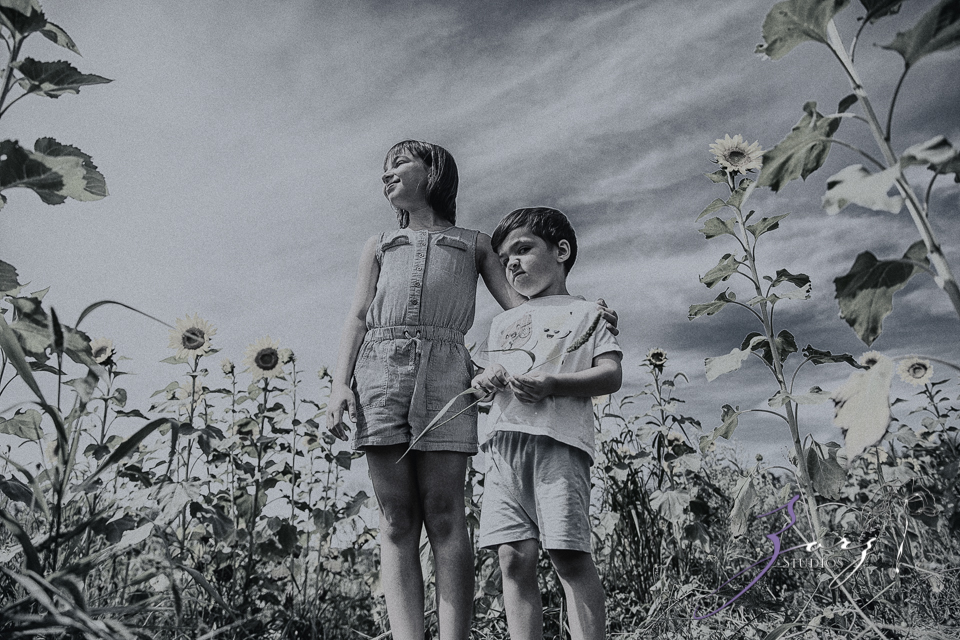 Field Trap: Sunflower Field Photoshoot for Three Families by Zorz Studios (23)