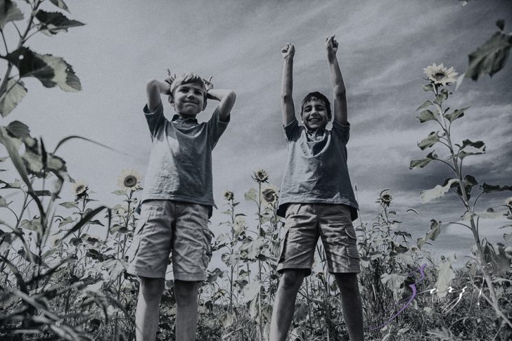 Field Trap: Sunflower Field Photoshoot for Three Families by Zorz Studios (22)