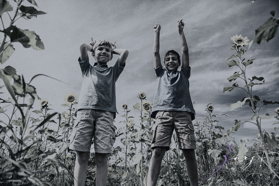 Field Trap: Sunflower Field Photoshoot for Three Families by Zorz Studios (22)