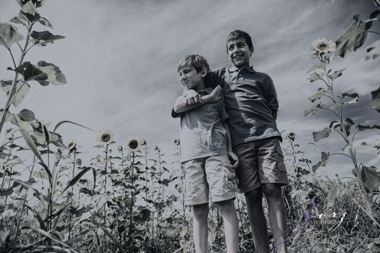 Field Trap: Sunflower Field Photoshoot for Three Families by Zorz Studios (21)