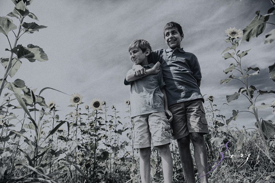 Field Trap: Sunflower Field Photoshoot for Three Families by Zorz Studios (21)