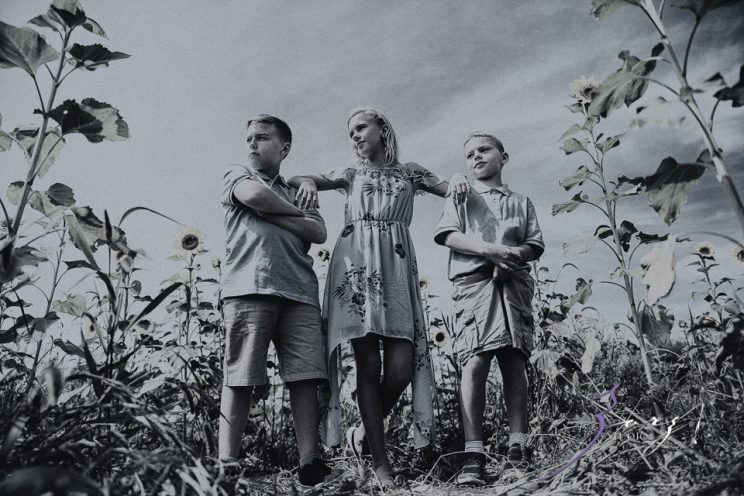 Field Trap: Sunflower Field Photoshoot for Three Families by Zorz Studios (20)