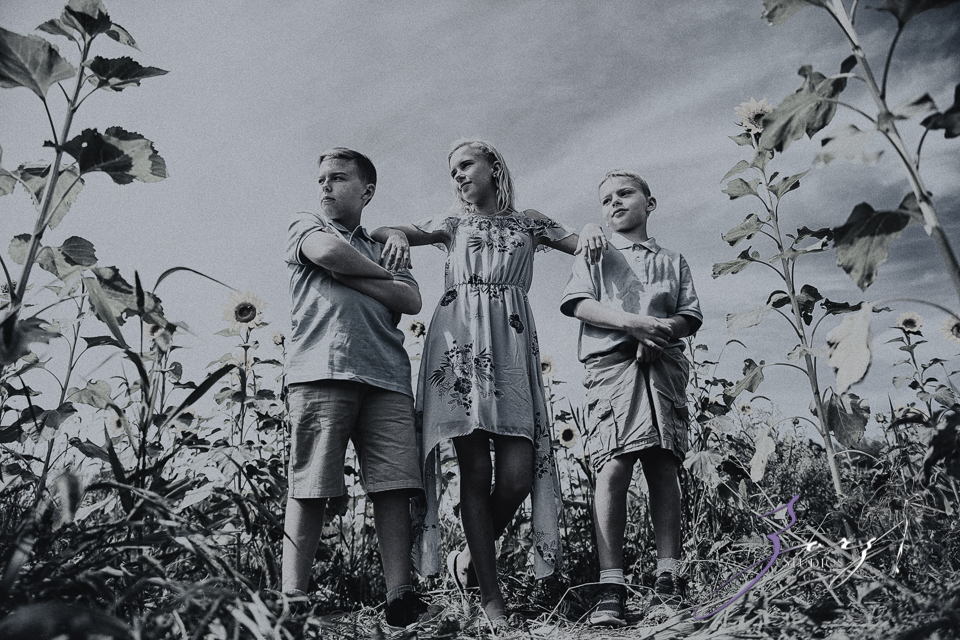 Field Trap: Sunflower Field Photoshoot for Three Families by Zorz Studios (20)
