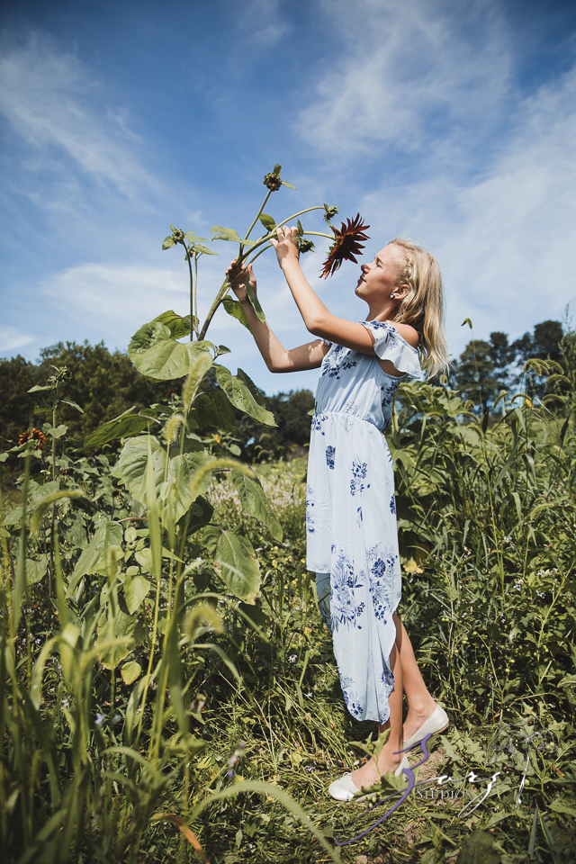 Field Trap: Sunflower Field Photoshoot for Three Families by Zorz Studios (16)