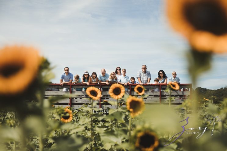 Field Trap: Sunflower Field Photoshoot for Three Families | Zorz Studios