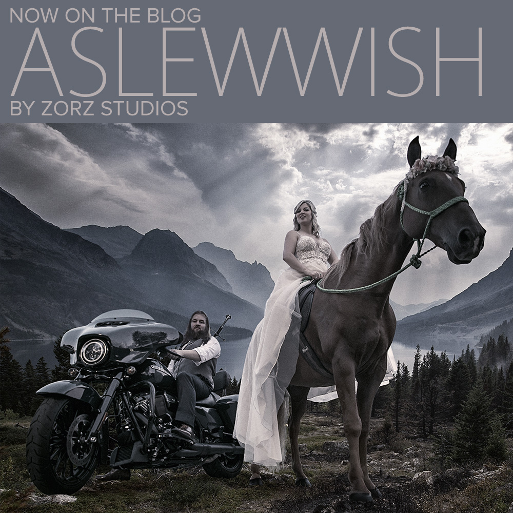 Aslewwish: Modern Viking Wedding in Ohio by Zorz Studios (151)