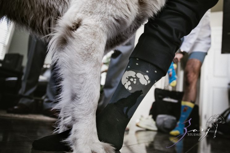 Aslewwish: Modern Viking Wedding in Ohio by Zorz Studios (109)