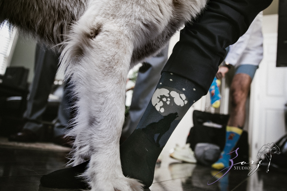 Aslewwish: Modern Viking Wedding in Ohio by Zorz Studios (109)
