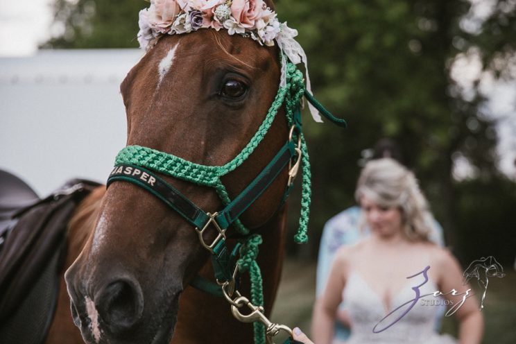 Aslewwish: Modern Viking Wedding in Ohio by Zorz Studios (100)