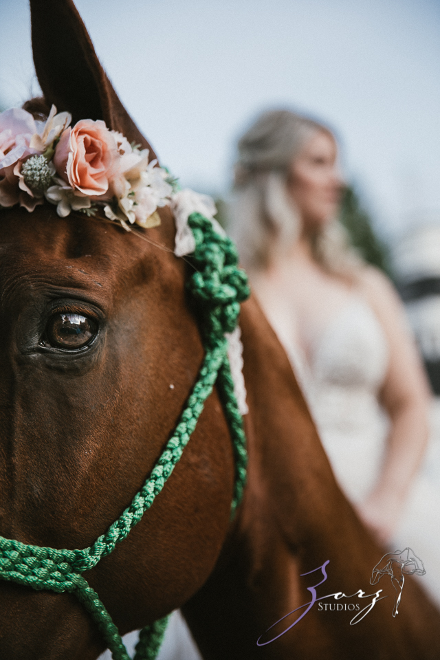 Aslewwish: Modern Viking Wedding in Ohio by Zorz Studios (65)