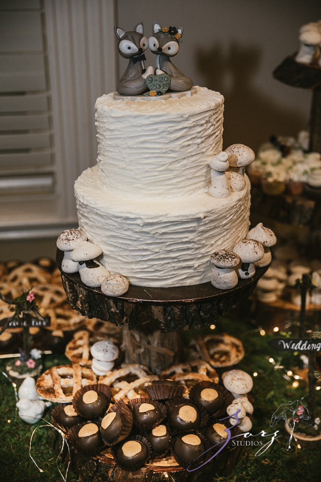 Aslewwish: Modern Viking Wedding in Ohio by Zorz Studios (33)