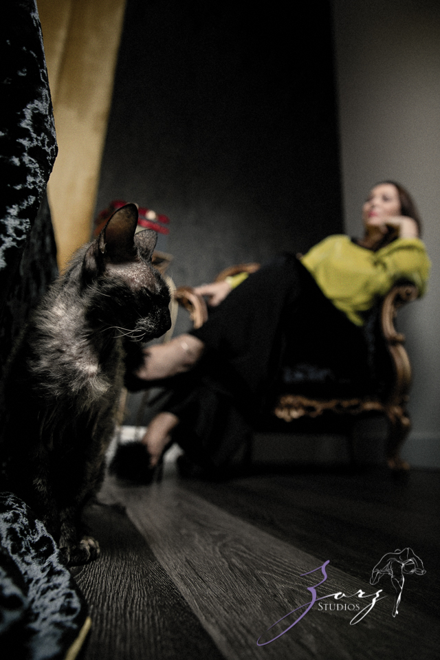 En_com-351 Sova: Unspoken Portraits of a Multifaceted Artist | Zorz Studios