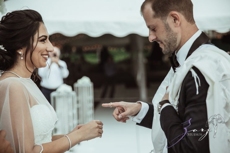 Paradisus: Mansion at Glen Cove Wedding During COVID | Zorz Studios