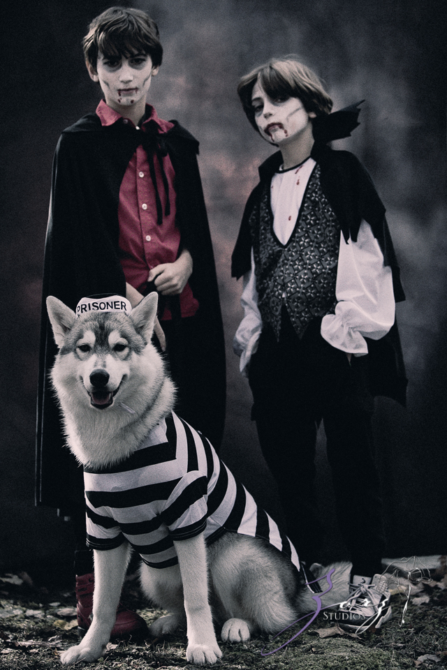 Shootoween 2020: Free Halloween Portraits in Poconos | Zorz Studios