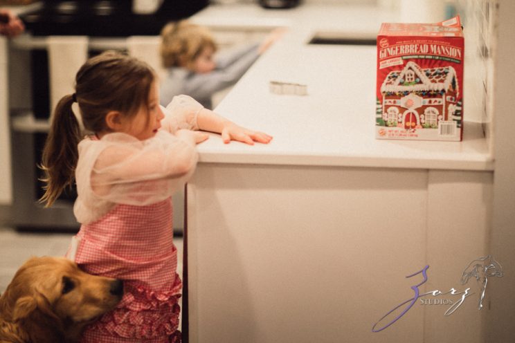 Frenz: A Day in the Life of Long Island Family | Zorz Studios